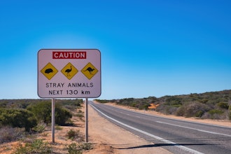 Traffic warning sign along a highway in the outback of Western Australia.