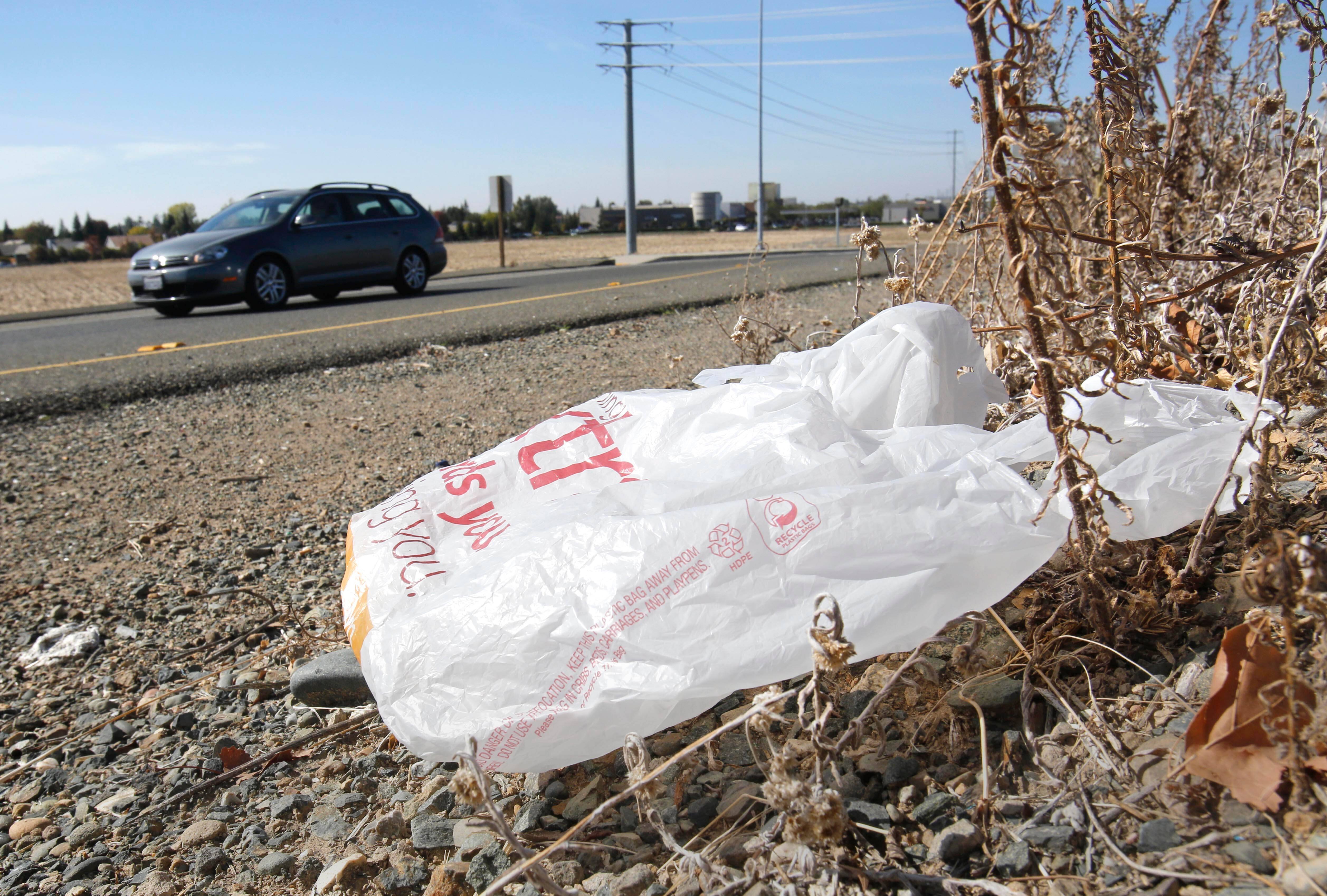 A plastic shopping bag liters the roadside in Sacramento, Calif, Friday, Oct. 25, 2013.