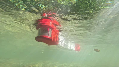 The larval zebrafish robot, Zbot.