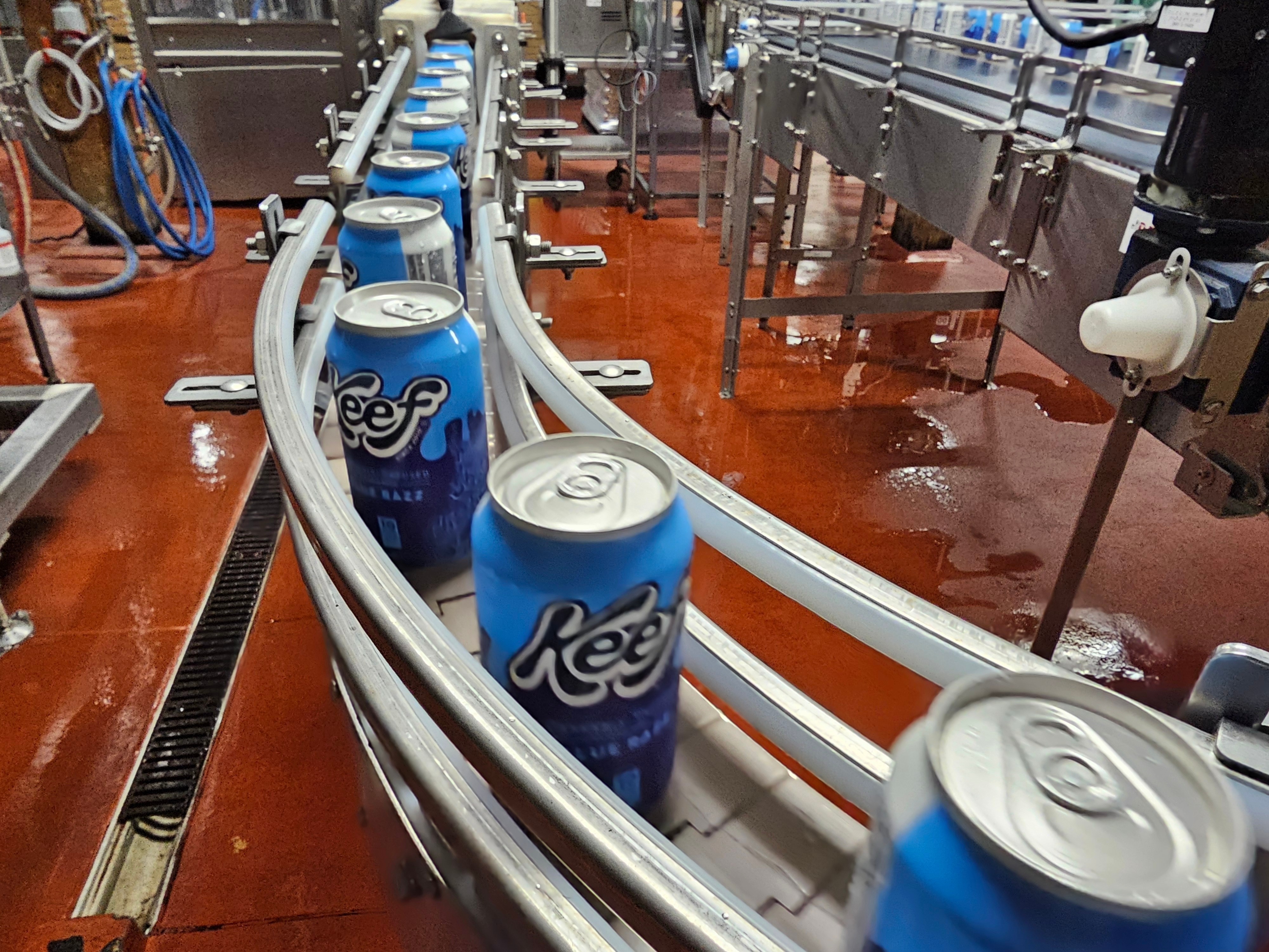 Cans of seltzer containing THC, the active ingredient in marijuana, speed down the canning line at Indeed Brewing in Minneapolis on Thursday, Nov. 20, 2025.