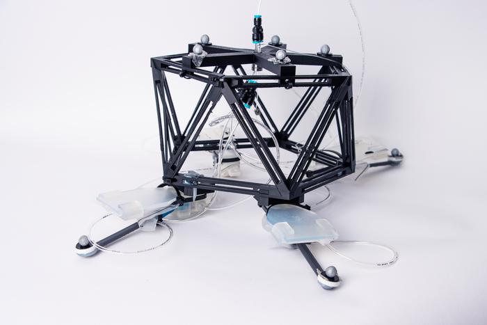 A photo of the unidirectional hopping robot which is composed of a black skeleton as the robot body, and four self-sensing oscillating actuators.