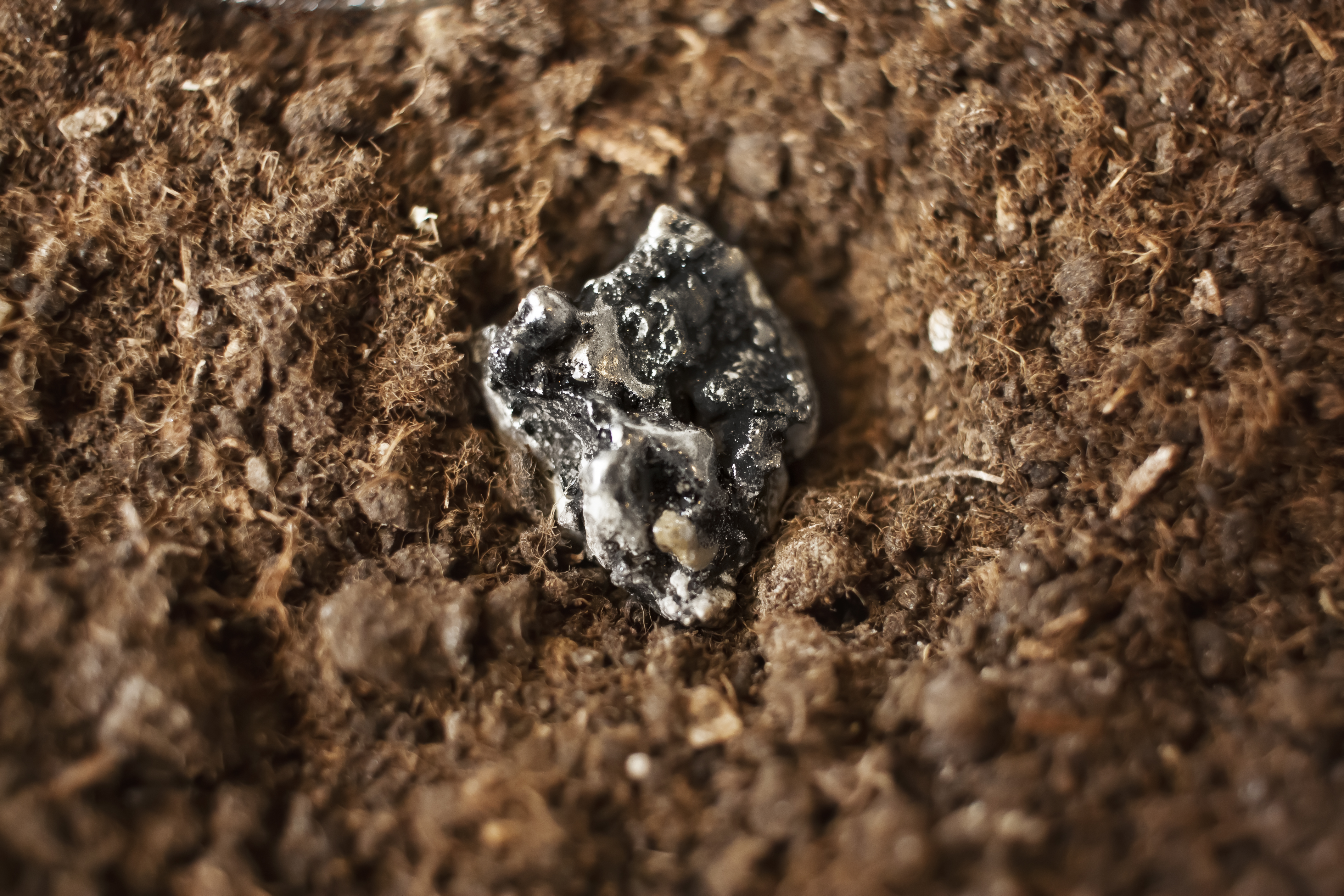 Rare Earth