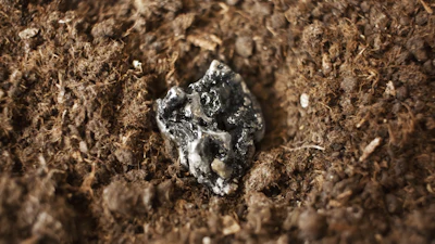 Rare Earth