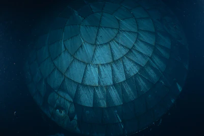 This photo provided by the U.S. Navy shows the Orion spacecraft's heat shield underwater after Artemis II splashed down Friday, April 10, 2026.