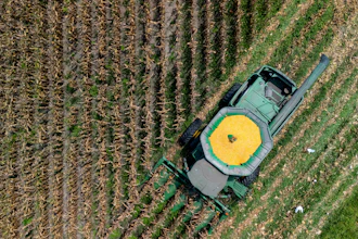 A farmer harvests seed corn on July 29, 2025 near Albany, Ga.