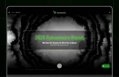 Black Kite