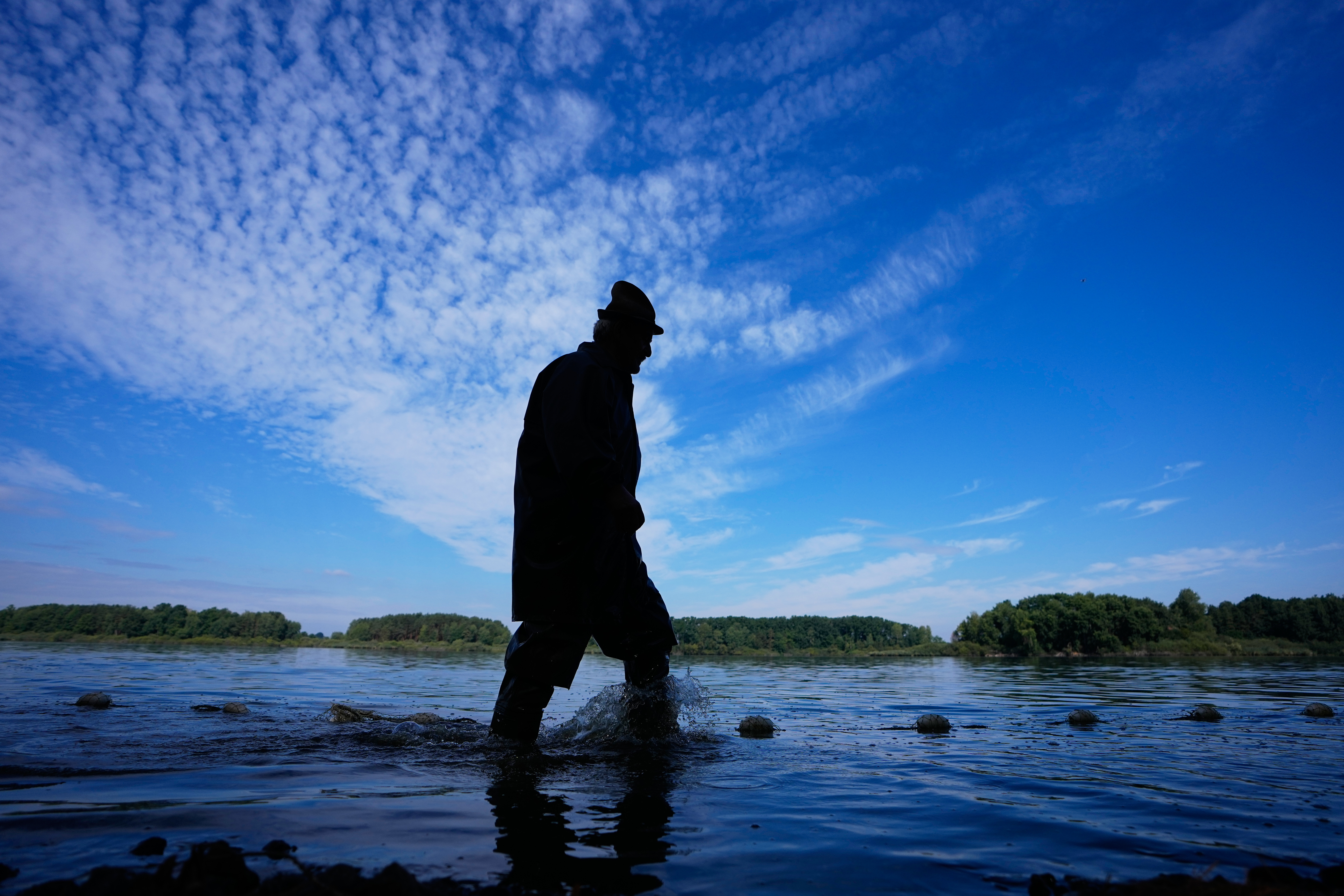 A fisherman takes part in a fish haul of the Kanov pond near Trebon, Czech Republic, Aug. 26, 2026.